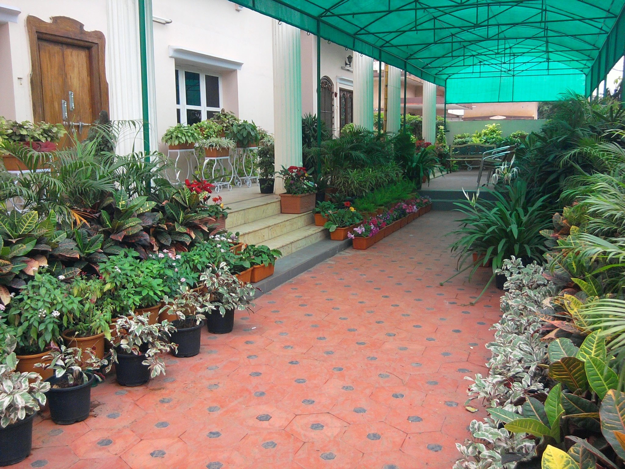 VGC Landscape Project 224